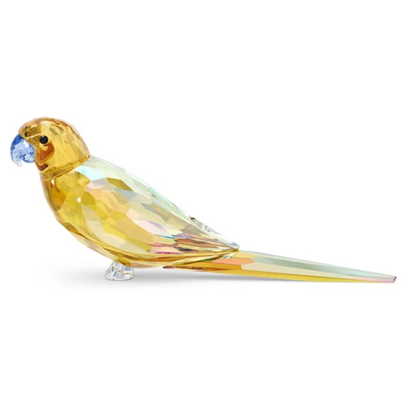 Swarovski 5619217 swarovski fashion piece - jungle beats yellow parakeet nuovo in scatola originale