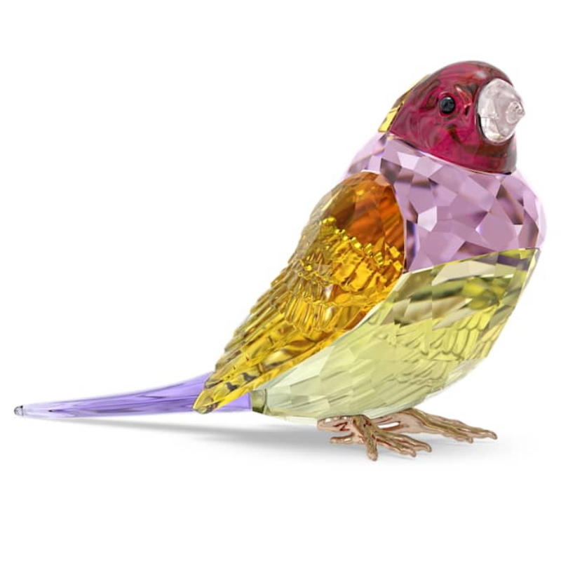 Swarovski 5689265 swarovski fashion piece - idyllia scs gouldian finch, large nuovo in scatola originale Swarovski 5689265 swarovski fashion piece - idyllia scs gouldian finch, large nuovo in scatola originale