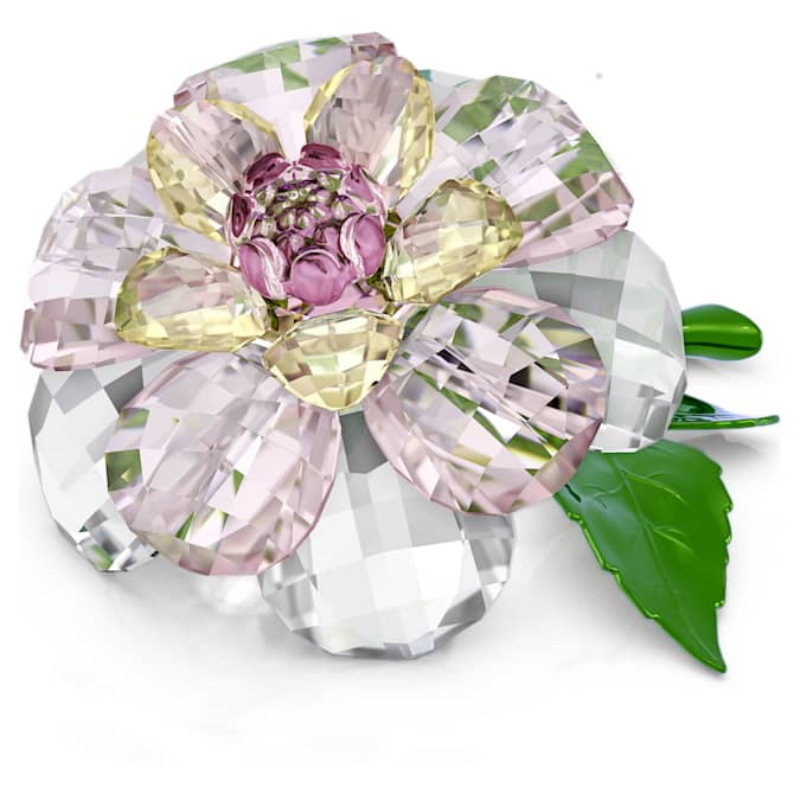 Swarovski 5721538 swarovski fashion piece - florere camellia nuovo in scatola originale