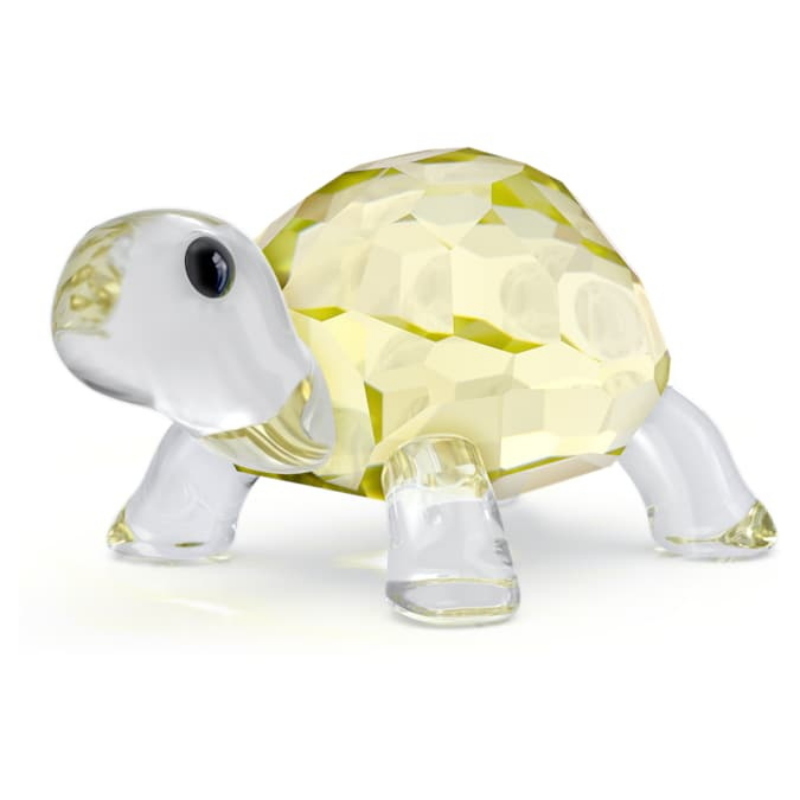 Swarovski 5721550 swarovski fashion piece - idyllia baby tortoise nuovo in scatola originale Swarovski 5721550 swarovski fashion piece - idyllia baby tortoise nuovo in scatola originale