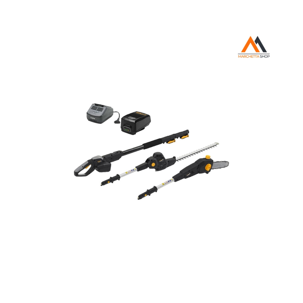 TAGLIASIEPI / POTATORE A BATTERIA 'AM 20LI KIT' 20V - 4 Ah L