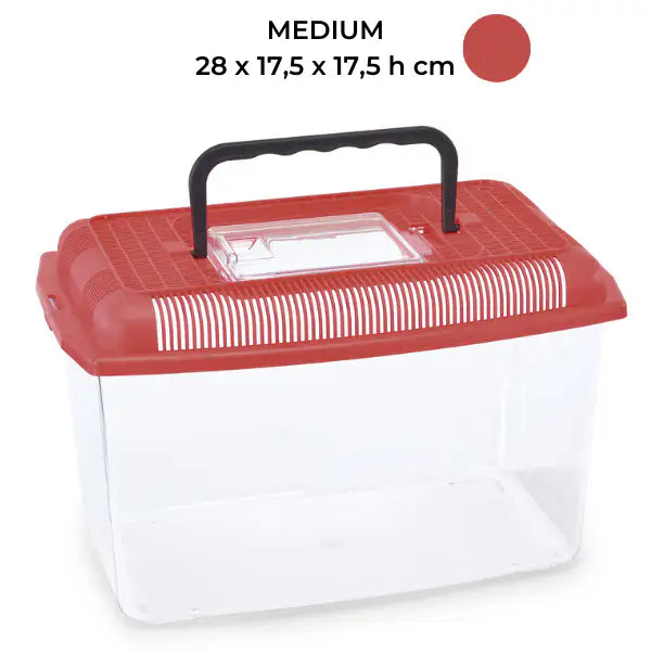 Vaschetta per pesci Ariel Imac Colori assoriti Capacità 4 lt - 1° ORDINE? scegli tra BZR5 - BZR20 + 200 pt fedeltà