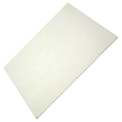 Vetro Intero Porta - Aspirapolvere Electrolux 312226