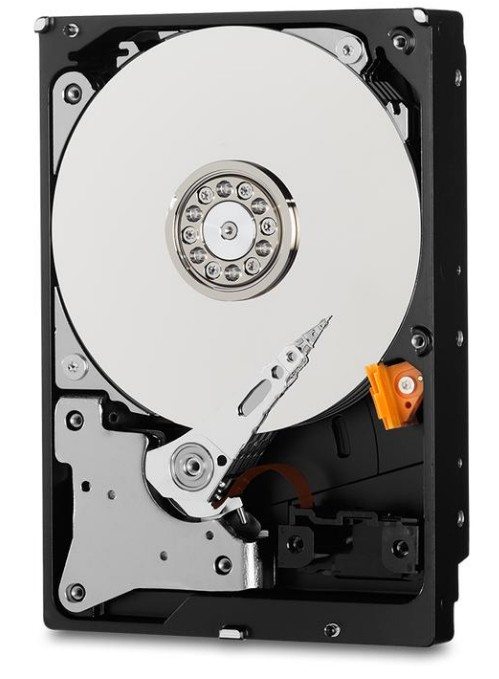 Western Digital Purple disco rigido interno 1 TB 5400 Giri/min 64 MB 3.5 Serial ATA III
