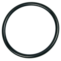 Whirlpool - Guarnizione A O Per Distributore - Lavastoviglie 2946943662734194690